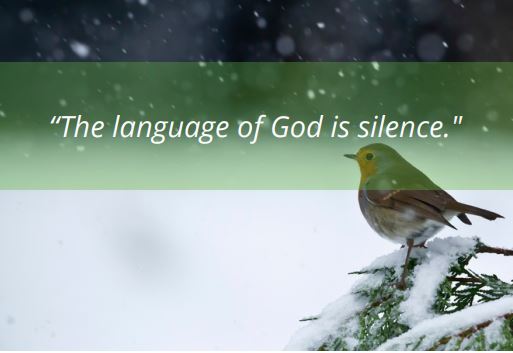 Winters Lessons - The language of God is Silence PIC