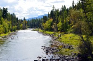 River landscape in Montana